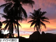 にほんブログ村 旅行ブログ ハワイ旅行へ