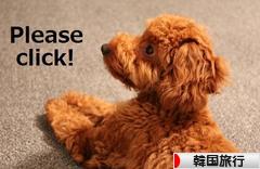 にほんブログ村 旅行ブログ 韓国旅行へ