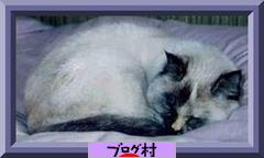 にほんブログ村 旅行ブログ 韓国旅行へ