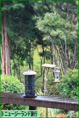 にほんブログ村 旅行ブログ ニュージーランド旅行へ