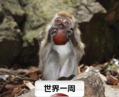 にほんブログ村 旅行ブログ 世界一周へ