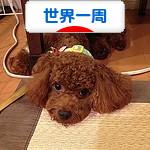 にほんブログ村 旅行ブログ 世界一周へ