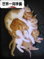 にほんブログ村 旅行ブログ 世界一周準備へ