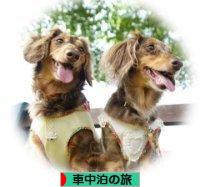 にほんブログ村 旅行ブログ 車中泊の旅へ