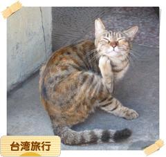 にほんブログ村 旅行ブログ 台湾旅行へ