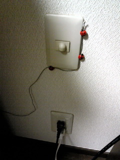 NEC_0813.jpg