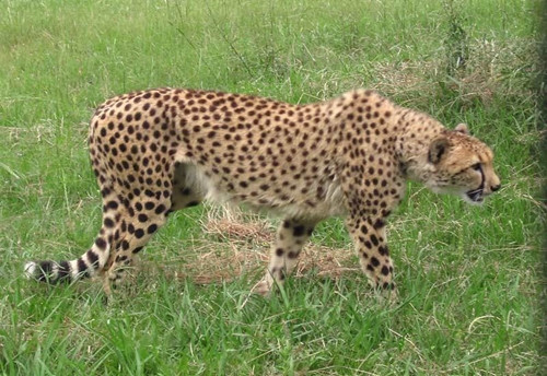 5fedeb7284edce7e50a0fe304524861a 5fedeb7284edce7e50a0fe304524861a