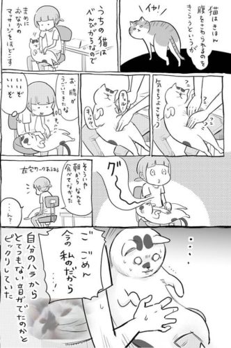 東京 腸もみ整体 猫に腸もみ 腸元氣堂のブログ