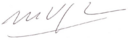 Mario vargas llosa signature transparent.png