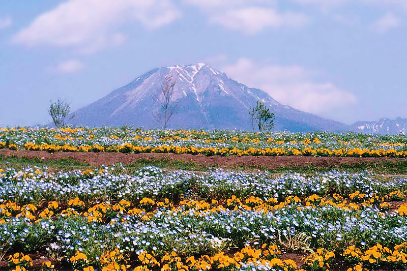 ファイル:Mt Daisen in Spring bs1500.jpg