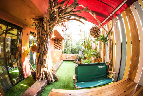 _DSC7995 のコピー