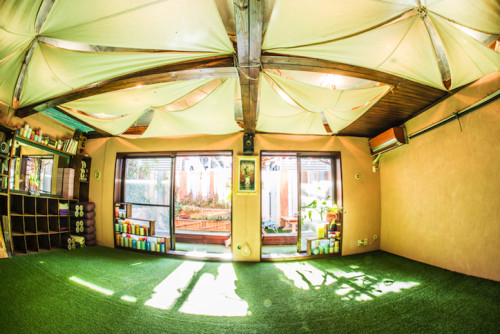 _DSC8119 のコピー