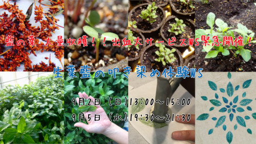 藍生葉叩き染ws