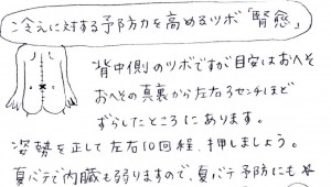 ヴィラカンダ通信14(2)