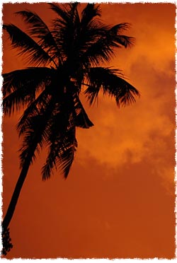 The Jewish Chronicle