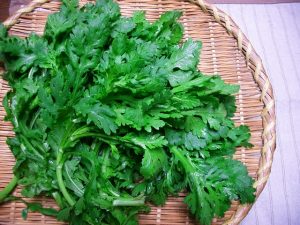 aad3adca851de4861de152031c19e40c