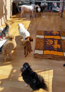 o0270048013789615575