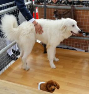 o0640036013789624085