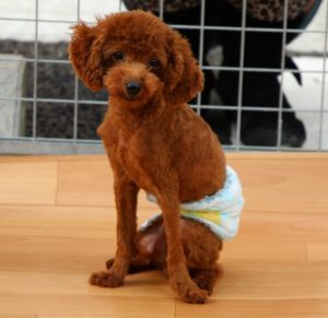 o0640096013789624063