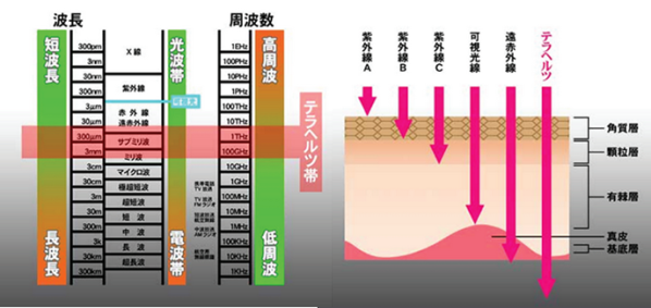 エナジーテラピー 大牟田市のエステはダイエット エナジーテラピーで口コミ評判 Water 凛 G ウォータリング