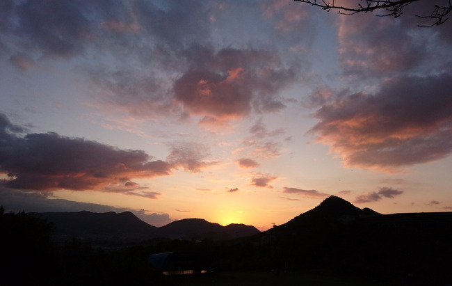 DSC_1087.jpg