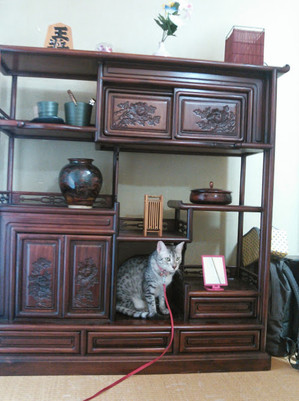 Nhk01 Nhk01