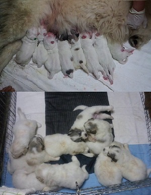 Photo_2 Photo_2