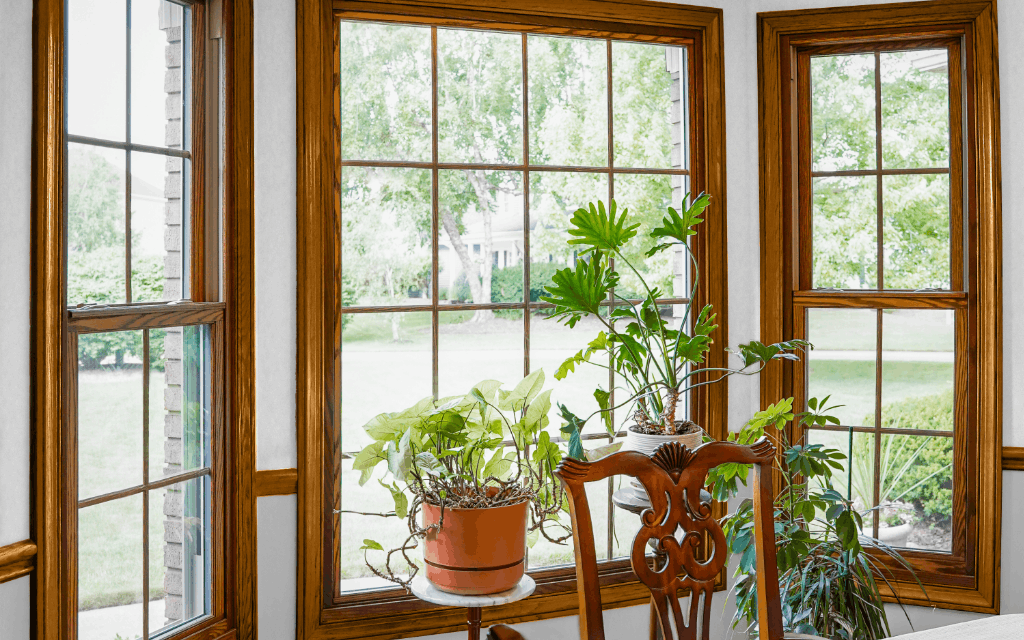 Wood-framed replacement windows with views of a green yard
