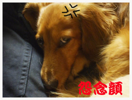 8美人になる方法　怨念顔.jpg