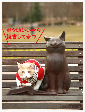 8美人になる方法　読書中.jpg