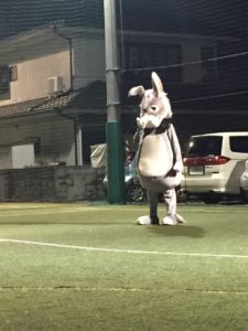 フットサル、うさぎ