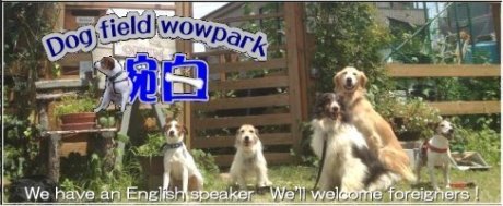 Dog Field Wowpark 腕白 は児童館のような施設を目指しています。
