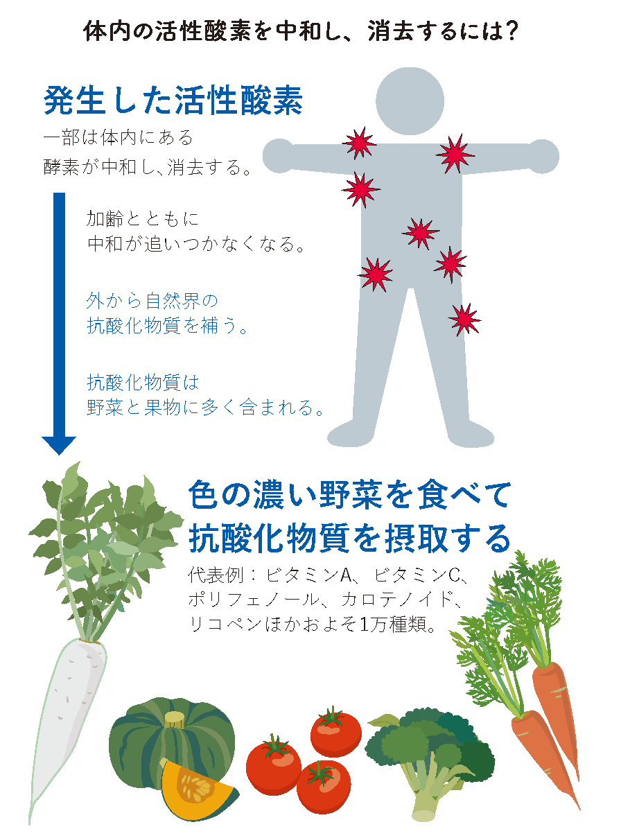 コロナ予防の新常識 野菜は生で食べない Hakko1019のブログ