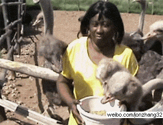 [img]http://ww2.sinaimg.cn/large/7cefdfa5jw1docuskjbnwg.gif[/img]