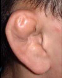 クリックすると新しいウィンドウで開きます