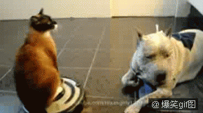 [img]http://ww4.sinaimg.cn/large/7cefdfa5jw1docgjx6a4yg.gif[/img]