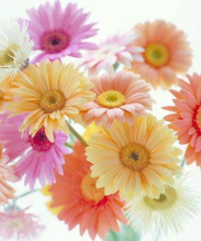 クリックすると新しいウィンドウで開きます