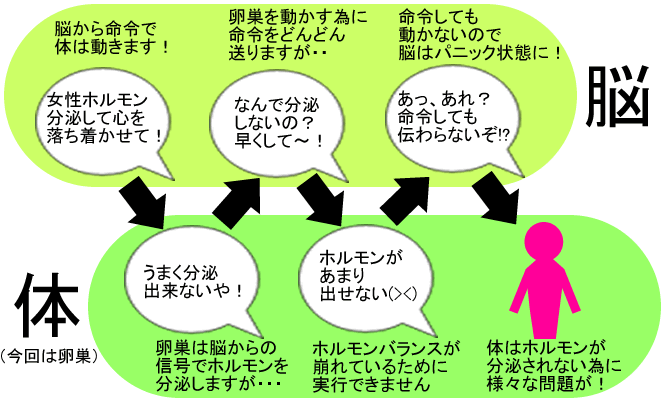 Pms 月経前症候群 にマカ オーガニックマカの驚くべき力 不妊 生理不順 冷え性