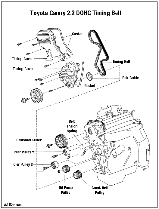 Toyota Camry timing belt replacement.
