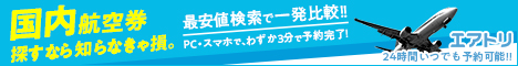 国内航空券エアーズゲート<br />