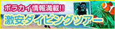 ボラカイパラダイス