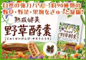 野草酵素