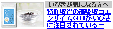 しずかなおやすみ