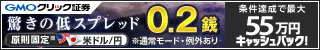 外為オプション(スマホ)
