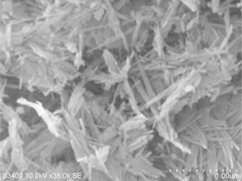 Palygorskite：SEM（走査型電子顕微鏡）画像35000倍