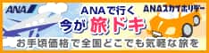 ANAの旅行サイト【ANA SKY WEB TOUR】