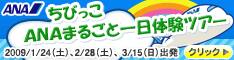【ANA SKY WEB TOUR】ちびっこANAまるごと体験ツアー