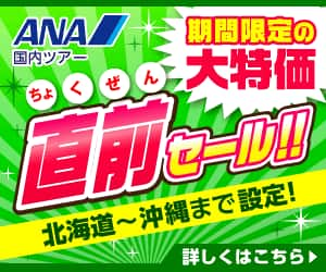 ANAの旅行サイト【ANA SKY WEB TOUR】