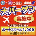 ANAの旅行サイト【ANA SKY WEB TOUR】