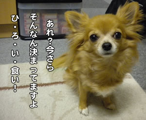 ひろい食い ひろい食い